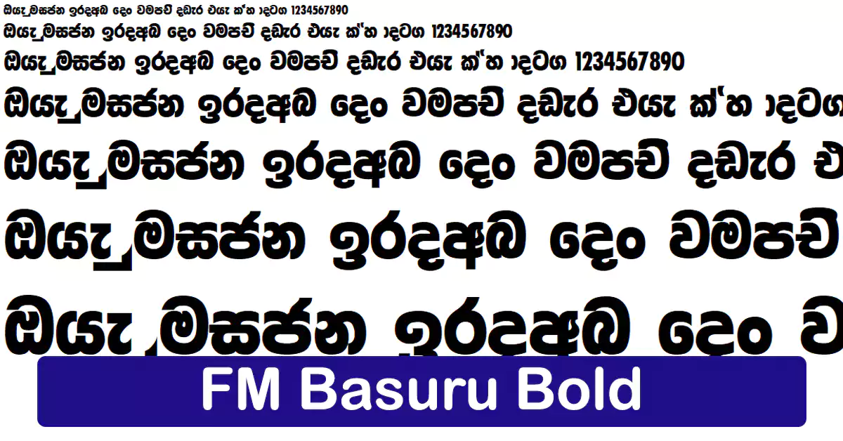 FM Basuru Bold