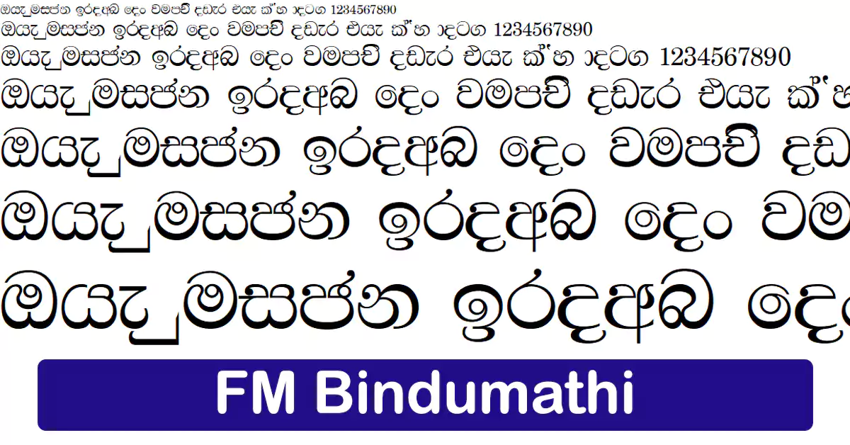 FM Bindumathi